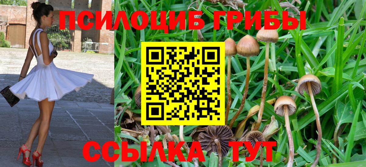 Галлюциногенные грибы прущие грибы  Вход с VPN  Галлюциногенные грибы Magic Shrooms  Елабуга 
